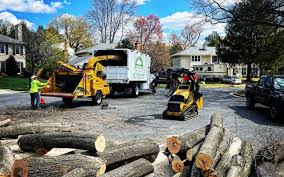 Seasonal Cleanup (Spring/Fall) in Thornton, CO